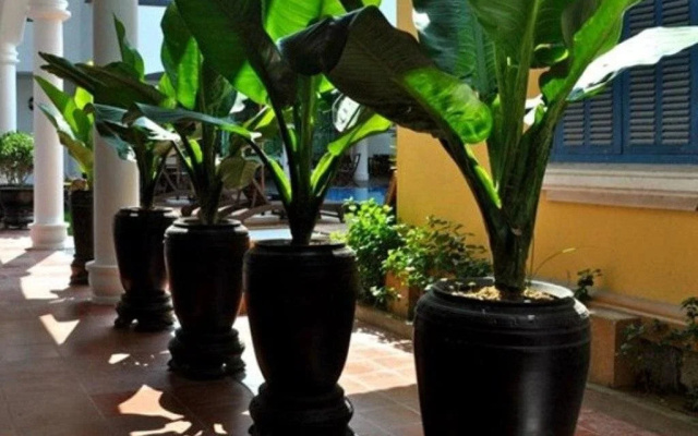 Le Domaine De Cocodo Apartment