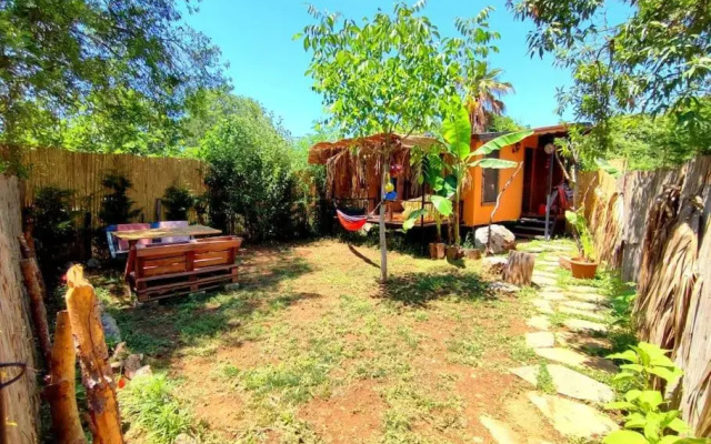 Tiny House Ceviz Kayaköy Jungle Camping