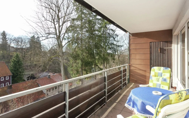 Cosy Apartment in Sankt Andreasberg Near Ski Area
