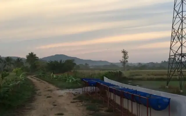 Wichuda Fishing Park & Homestay