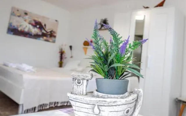 Little garden house