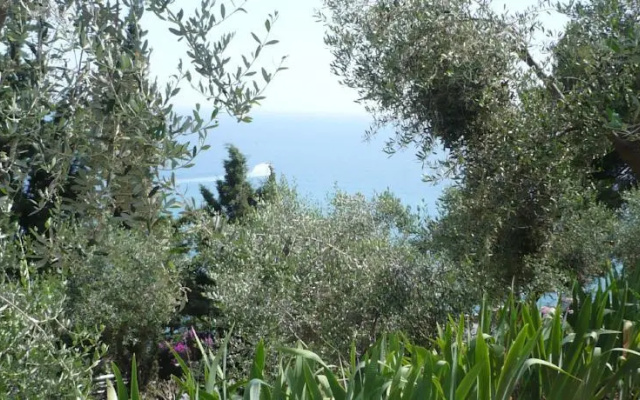 Villa Anna