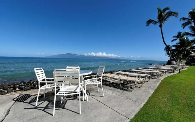Kaleialoha 309