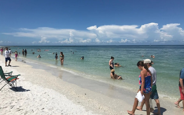 Seagrape