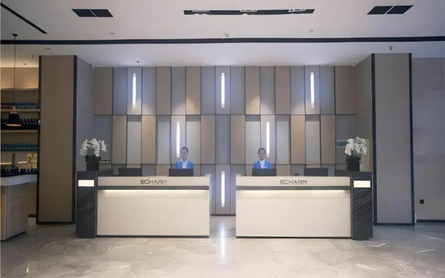 Echarm Hotel Yiyang Wanda Plaza
