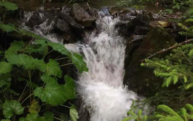 Synevyrskyj Chardash