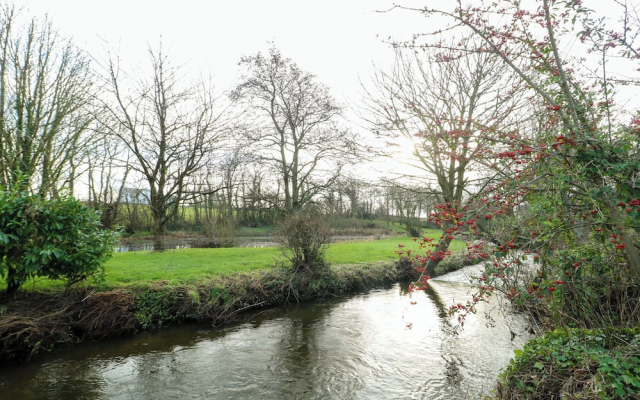 The Mill