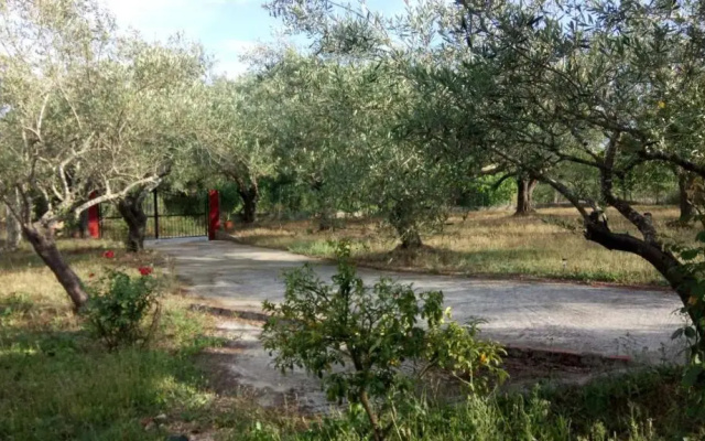 Eva's House
