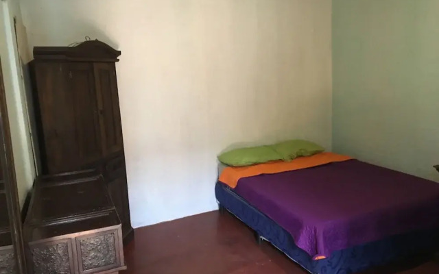 Greenhouse Hostel