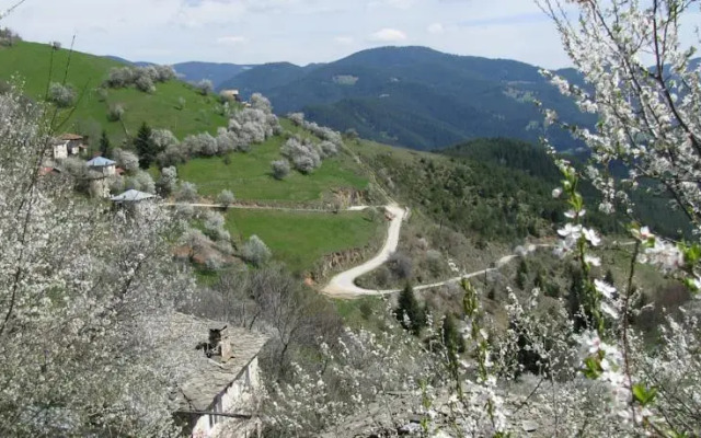 Zornica Guest House