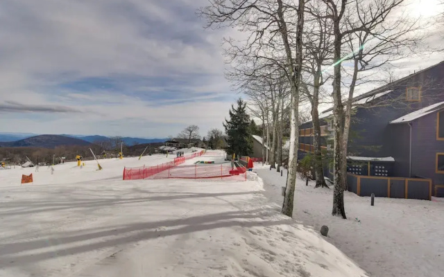 Ski-in Ski-out Wintergreen Condo w/ Balcony