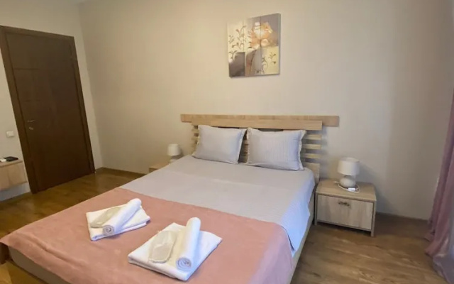Hotel Violet Metekhi