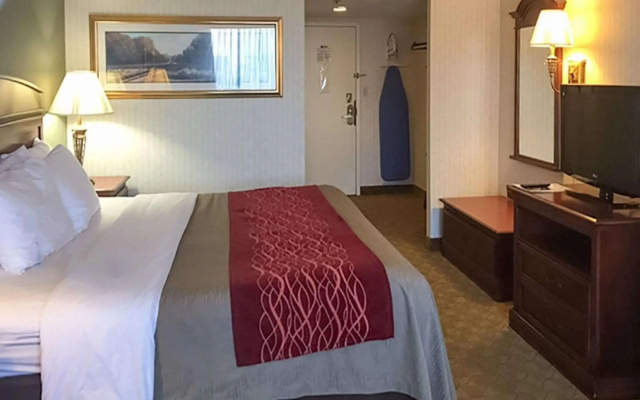 Comfort Inn Springfield