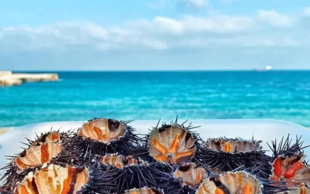 Casa 100m dal mare caraibico