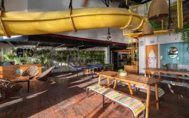 Señor Frogs Hostel - Adults Only