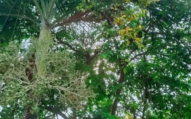 Nhà Nghỉ Trinh Uy