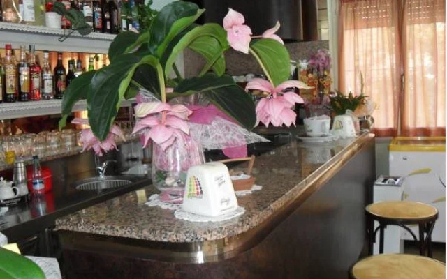 Hotel Zani