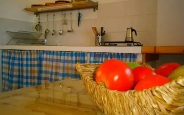 Casas Harry
