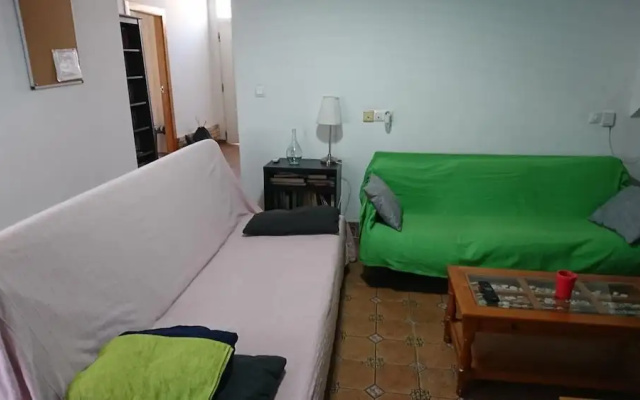 Palmar 0
