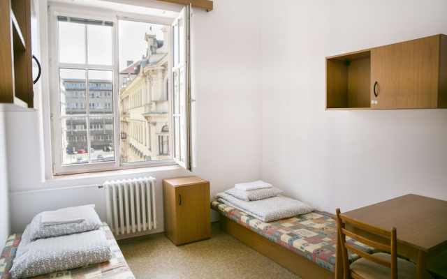 Dizzy Daisy Hostel