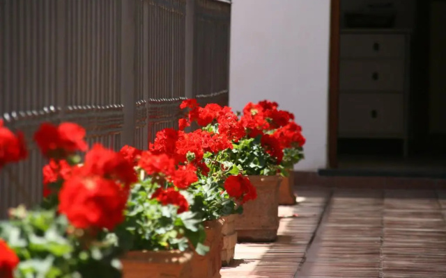 B&B Il Vicolo