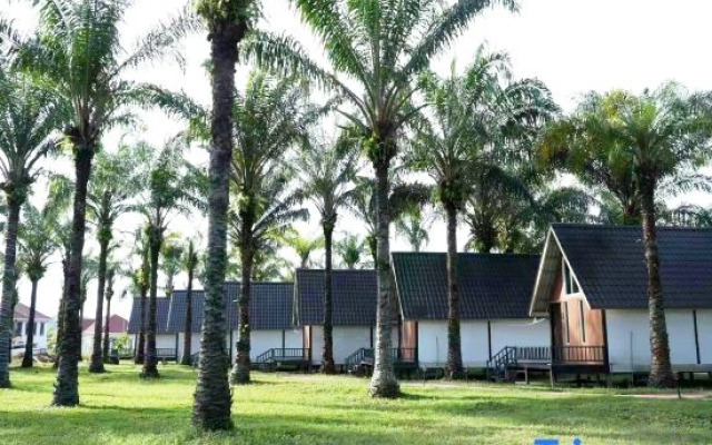 Nature Resort