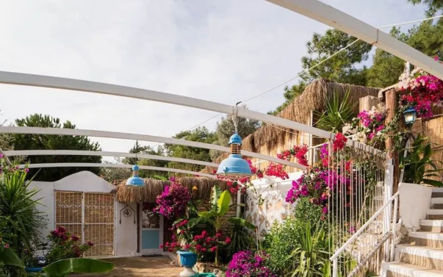 Begonvilla Bungalows