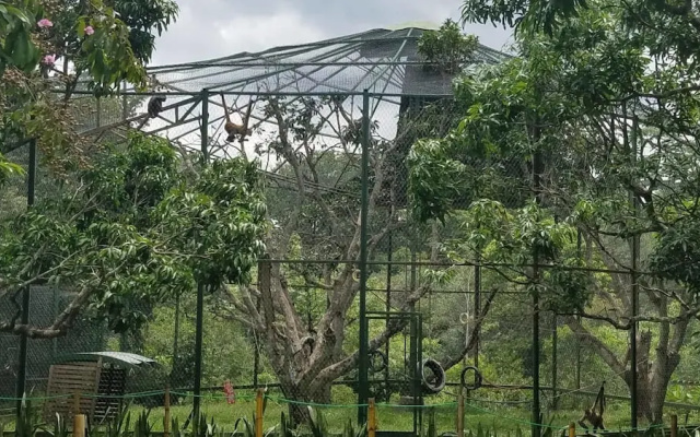 Rescue Center