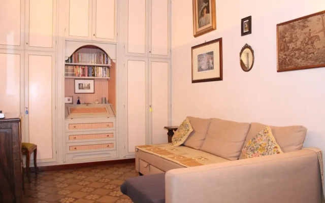 Art Apartment Sdrucciolo dè Pitti