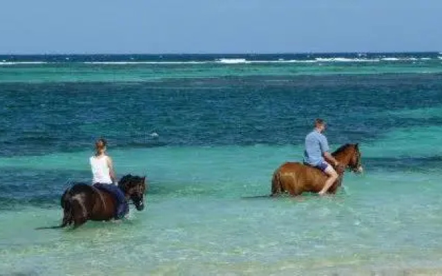 Studio 03 vue mer Orient Bay