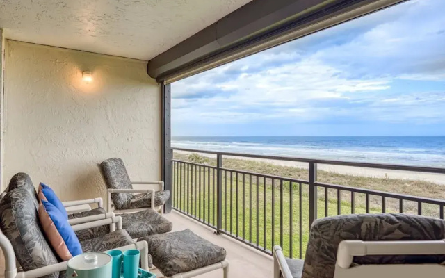 Sand Dollar #205