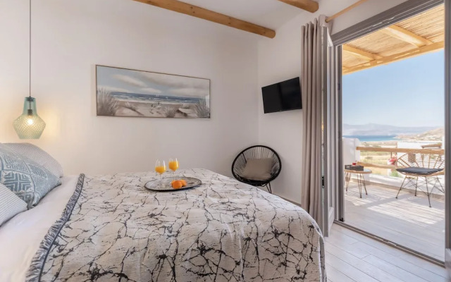 Naxos Contelibro
