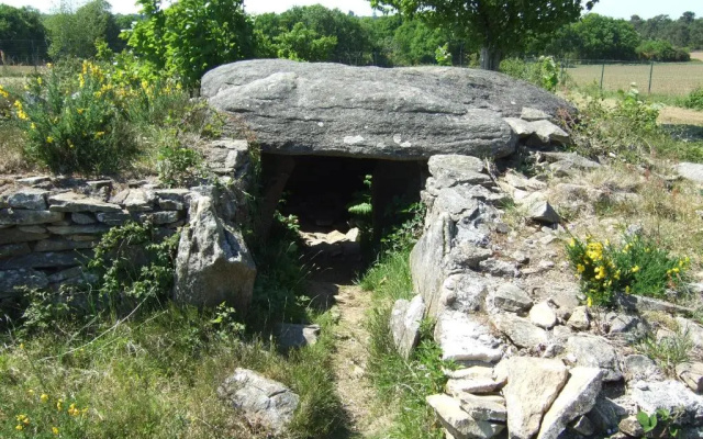 Le Clos De Lascoer