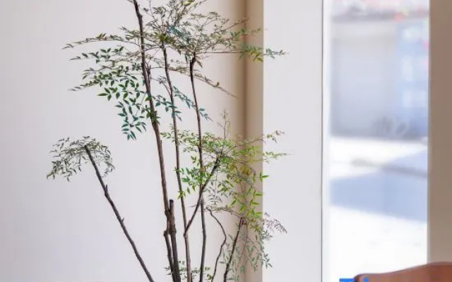 Xiapu Songdao Chenguan Homestay
