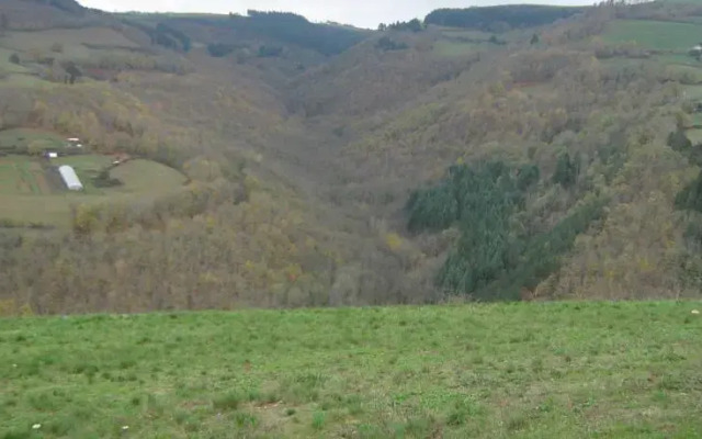 Stübchen