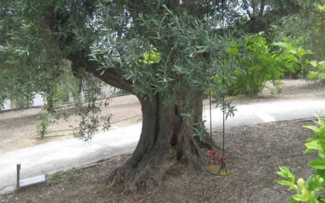 Holiday home La Quiete