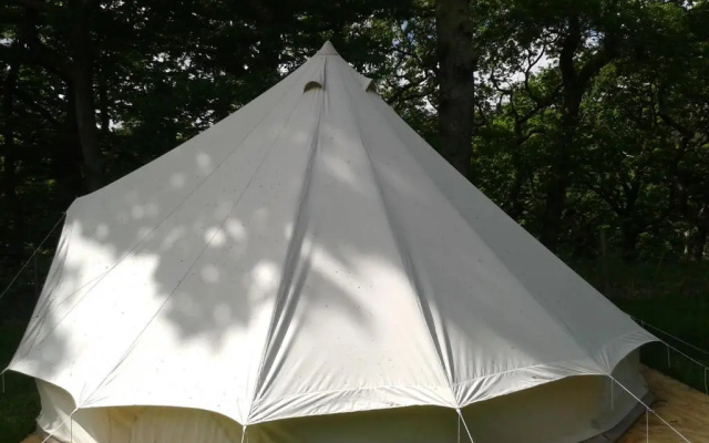 Cefn Crib Glamping