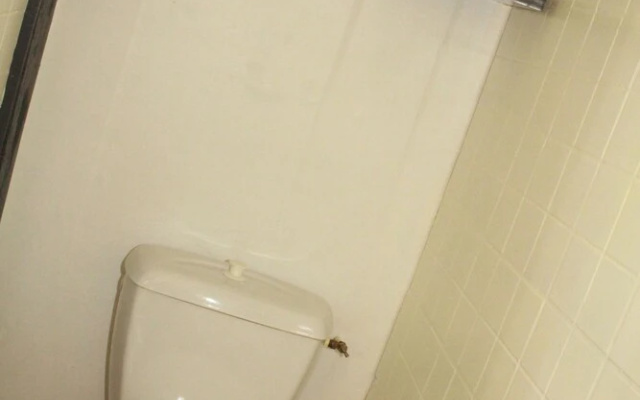 Appartement 1 90m2