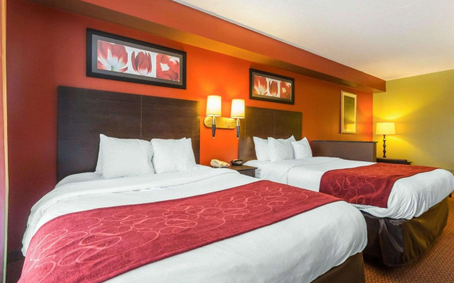 Comfort Suites Knoxville East