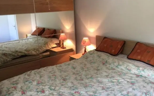 Appartement face au Mont Blanc & Glaciers