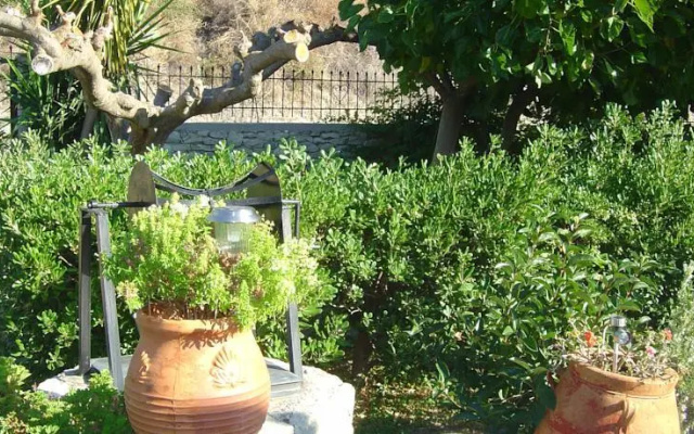 Michalis Apartments