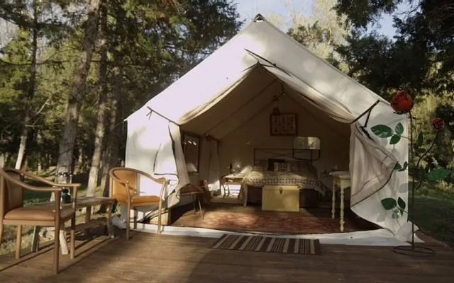 Norwegian Wood Ranch