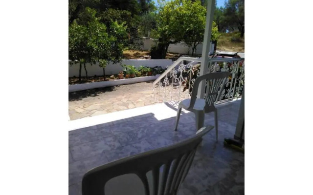The Green Cottage 1
