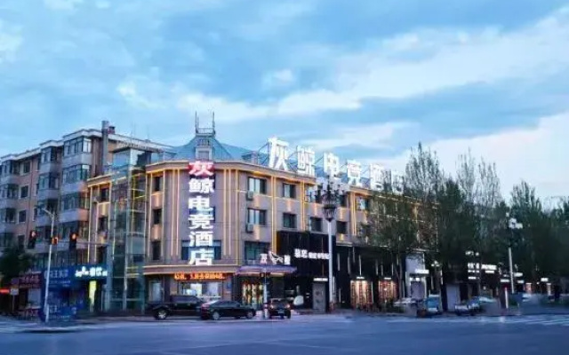 Wuchang Grey Whale E-sports Hotel