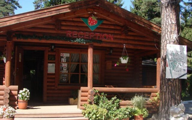 Отель Yagoda Chalets Болгария, Боровец - отзывы, цены и фото номеров - забронировать отель Yagoda Chalets онлайн вид на фасад