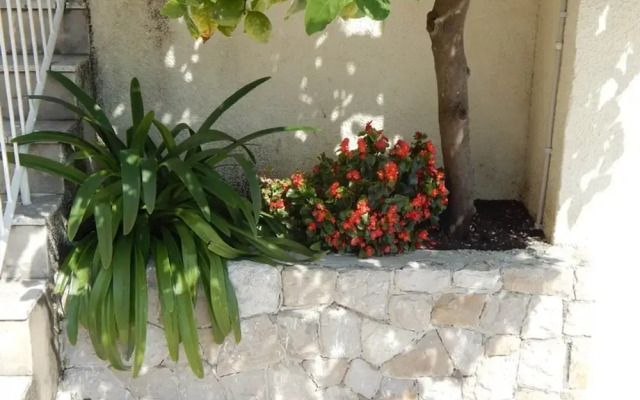 Apartments Lucija - One Bedroom Apartment With Terrace
