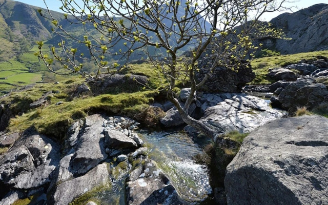 Cwm