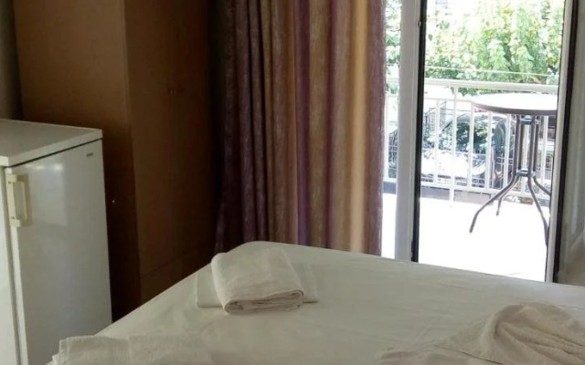 Hotel Ion