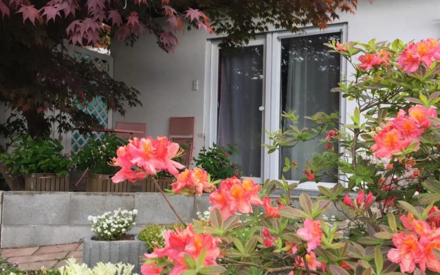 Haus Magnolia 2