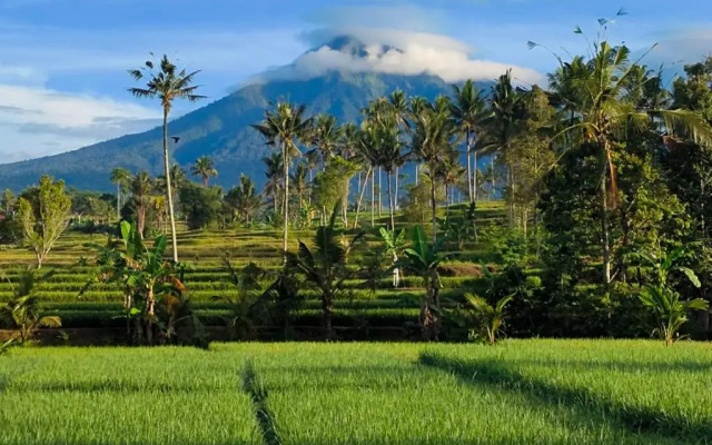 RUMAH @ Sawah Ijen